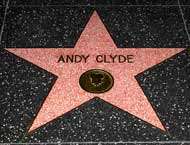 The actor was a recipient of a star on the Hollywood Walk of Fame which he received in the year 1960 for his services to the entertainment industry.